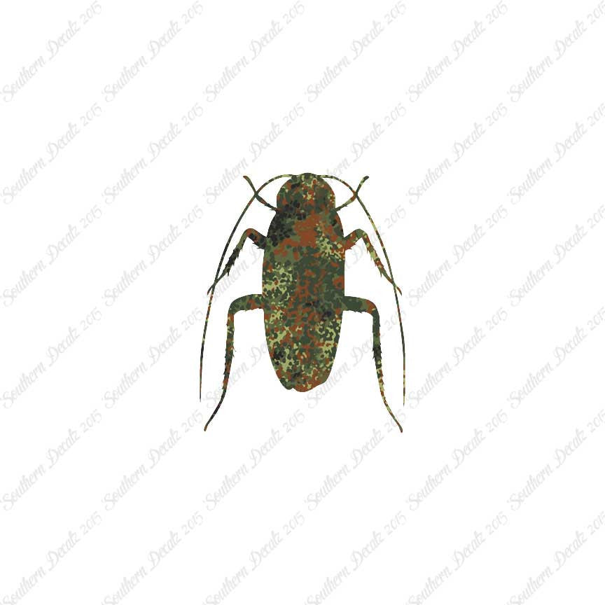 Water Beetle Cockroach