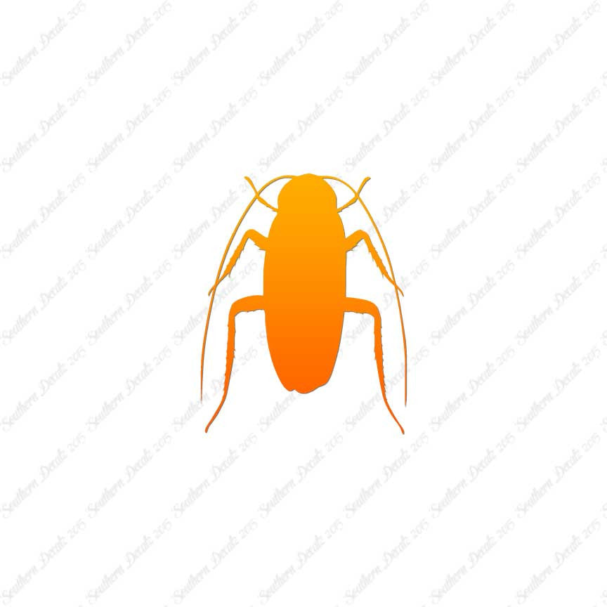 Water Beetle Cockroach