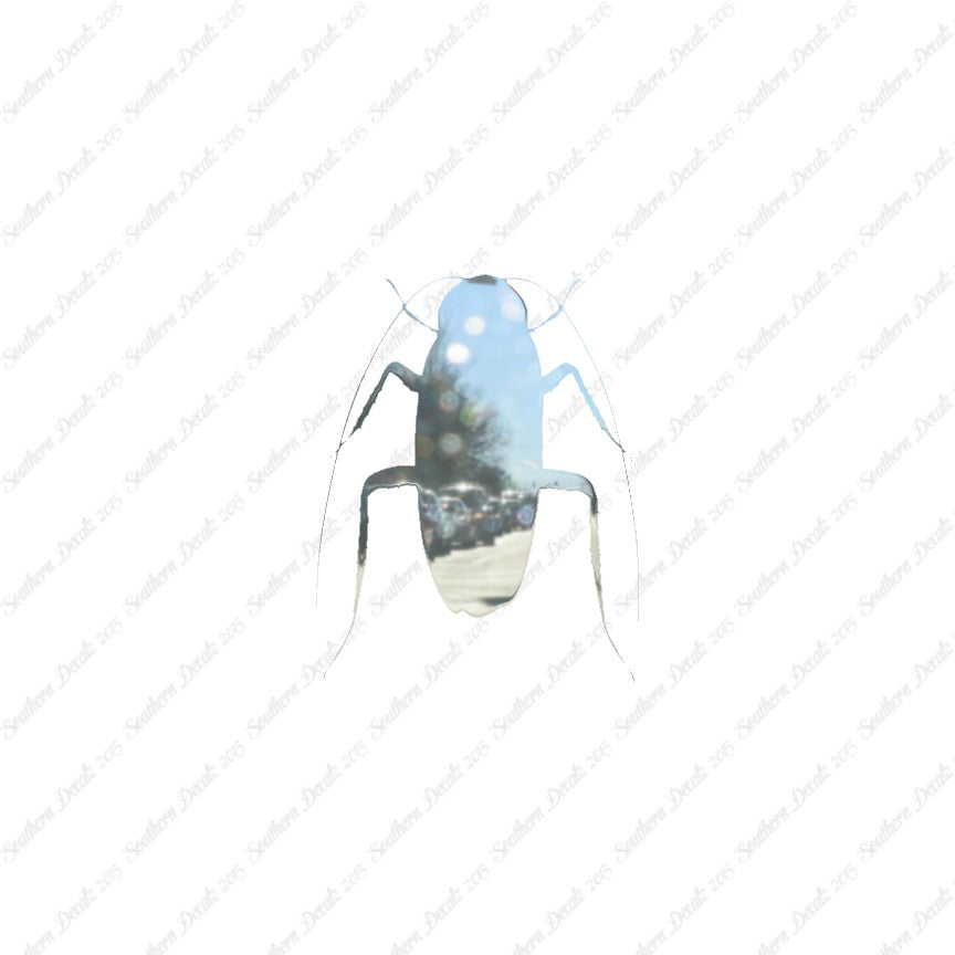 Water Beetle Cockroach