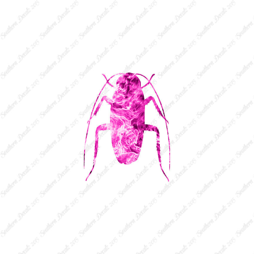 Water Beetle Cockroach