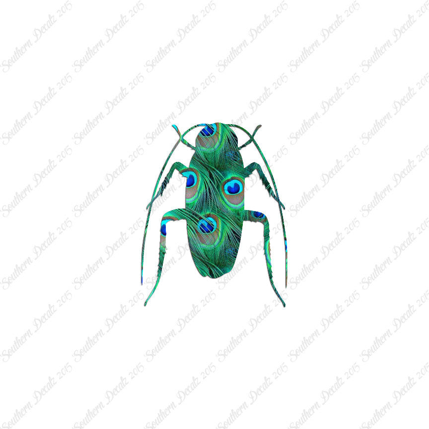 Water Beetle Cockroach