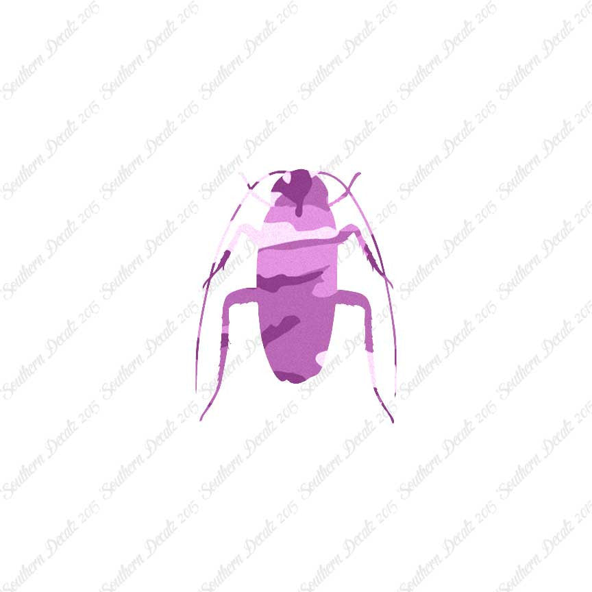 Water Beetle Cockroach