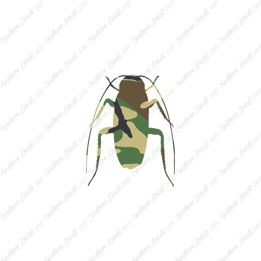 Water Beetle Cockroach