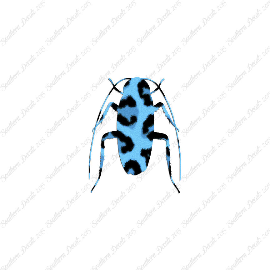 Water Beetle Cockroach