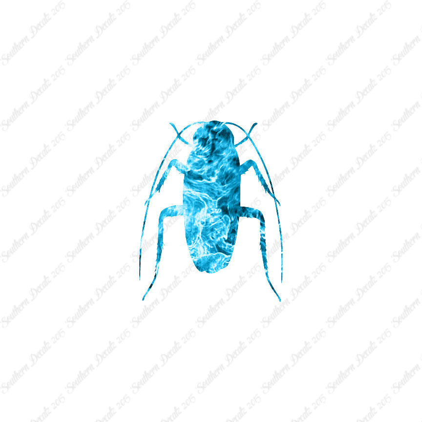 Water Beetle Cockroach
