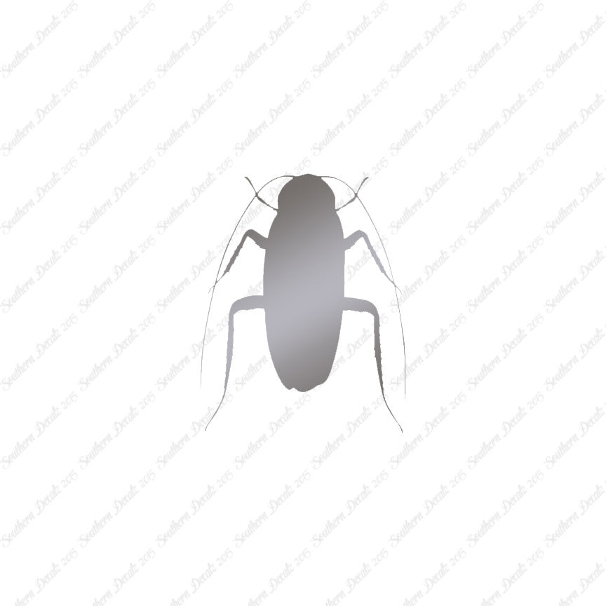 Water Beetle Cockroach