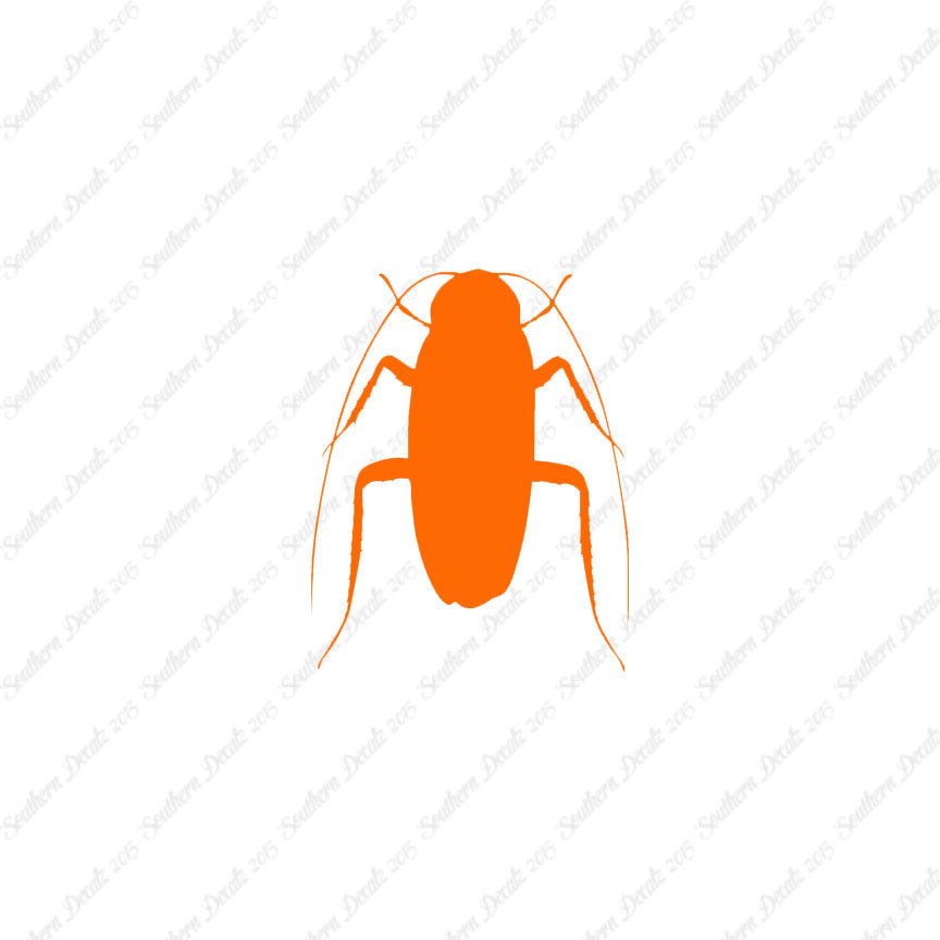 Water Beetle Cockroach