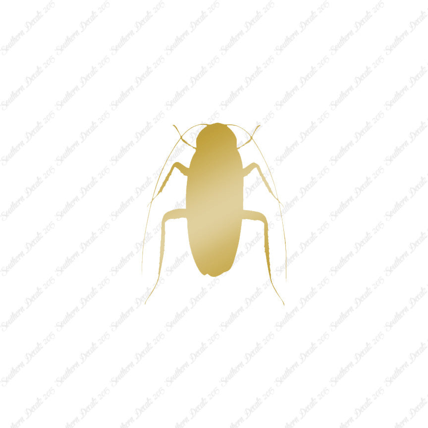 Water Beetle Cockroach