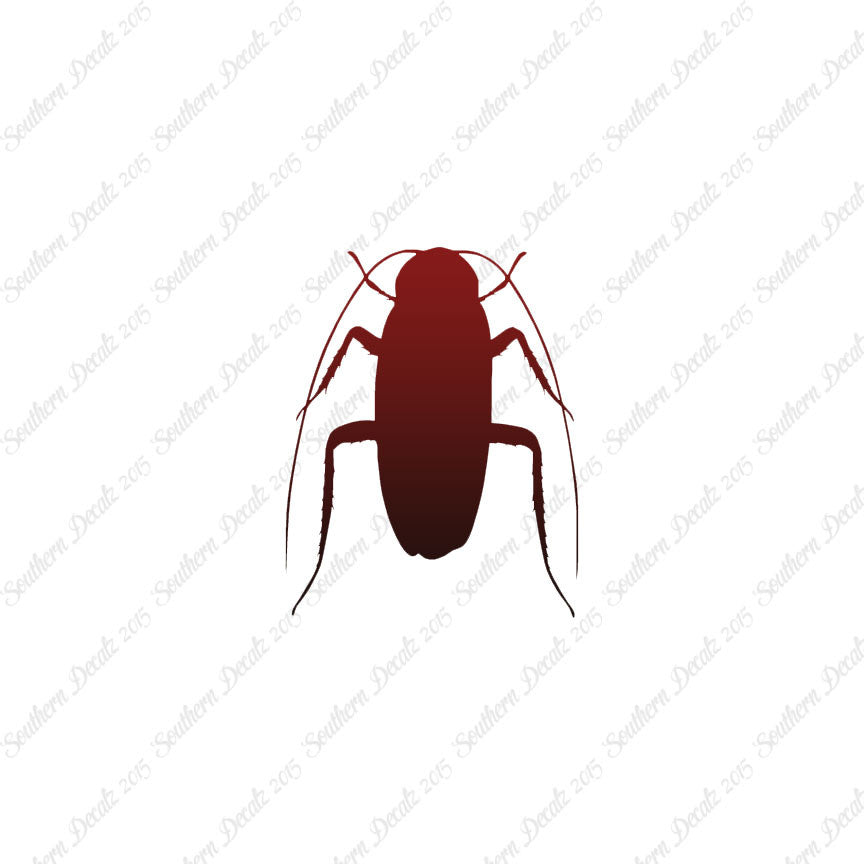 Water Beetle Cockroach