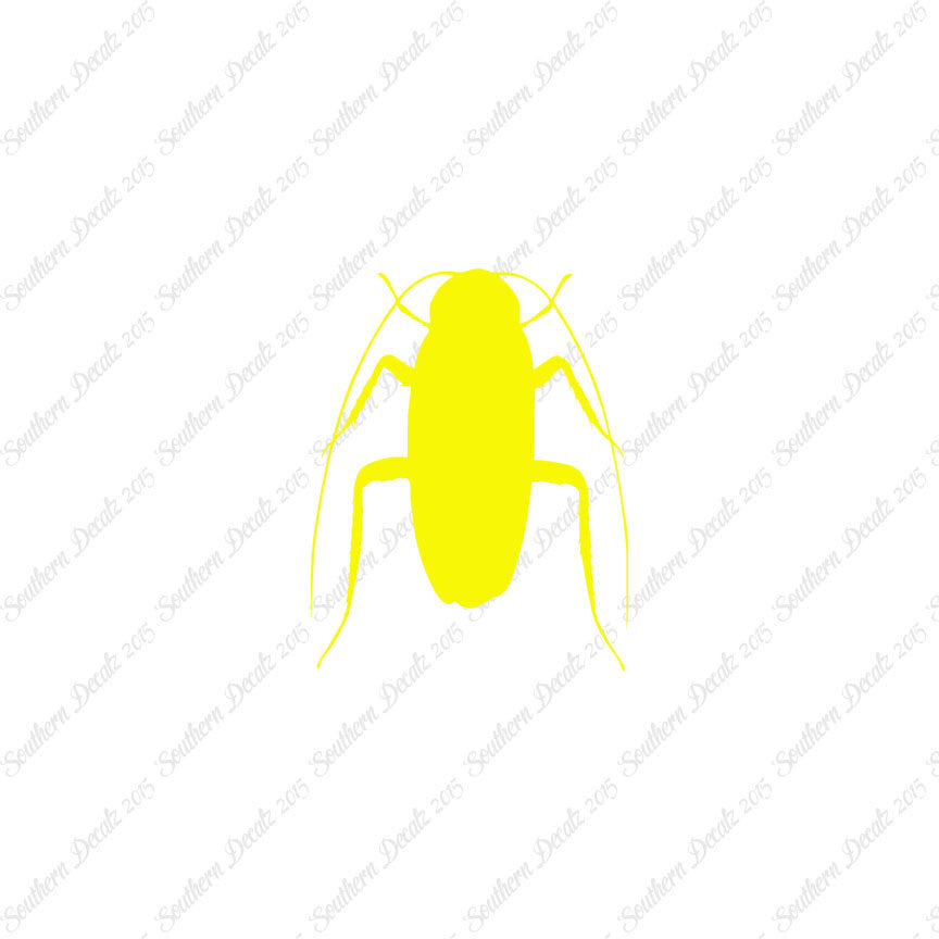 Water Beetle Cockroach