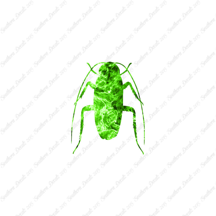 Water Beetle Cockroach