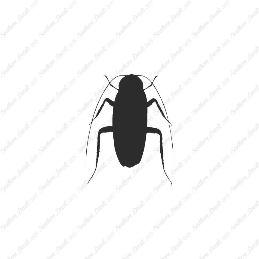 Water Beetle Cockroach