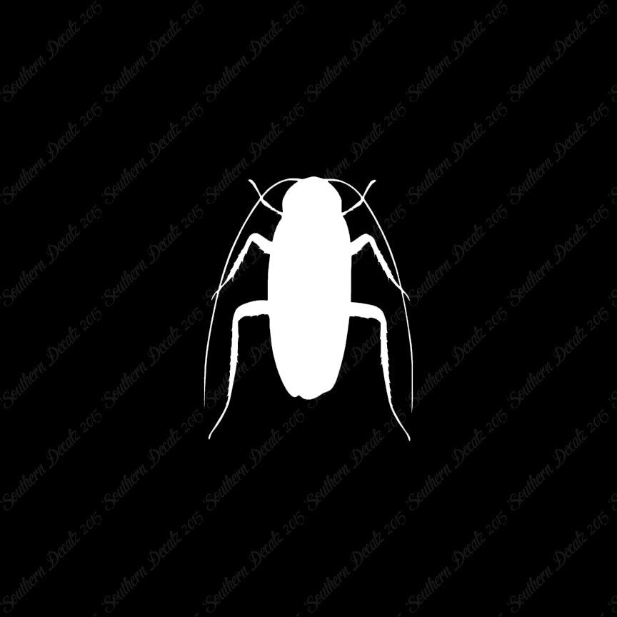 Water Beetle Cockroach