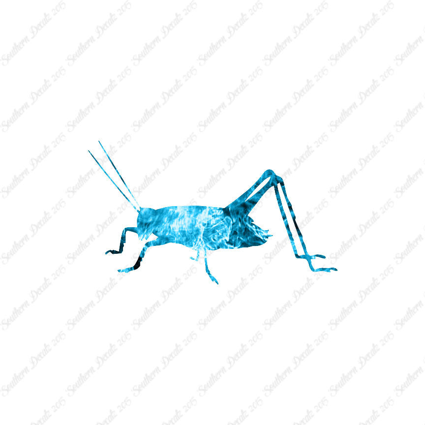 Cricket Insect