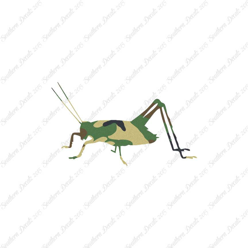 Cricket Insect