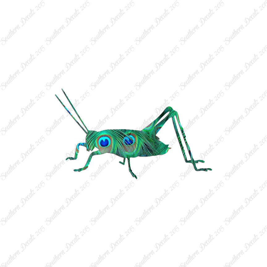 Cricket Insect