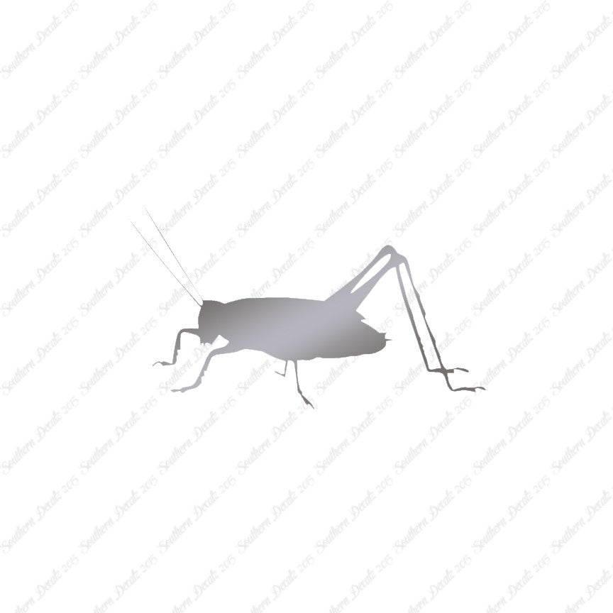 Cricket Insect