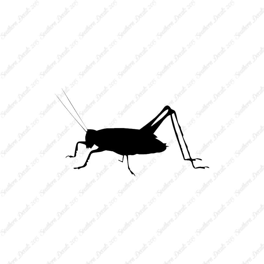 Cricket Insect