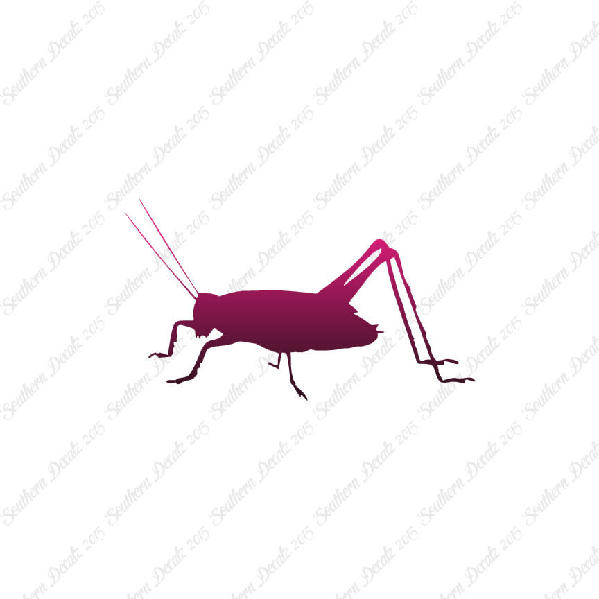 Cricket Insect