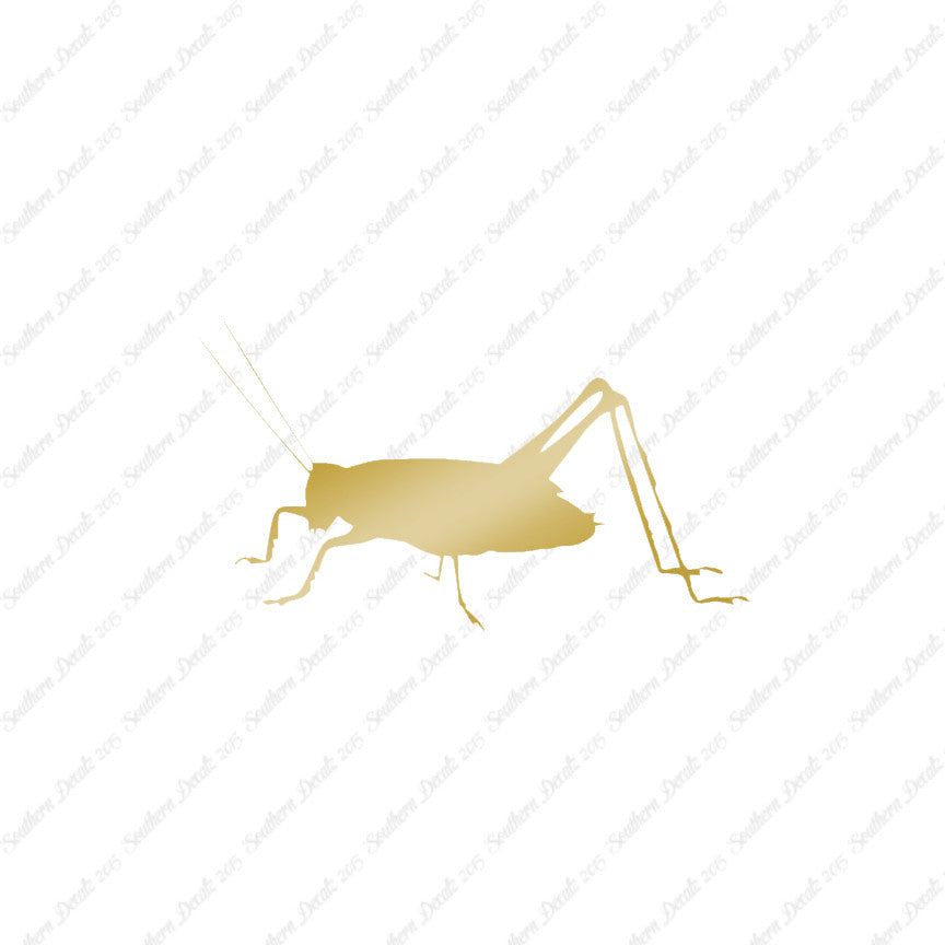 Cricket Insect