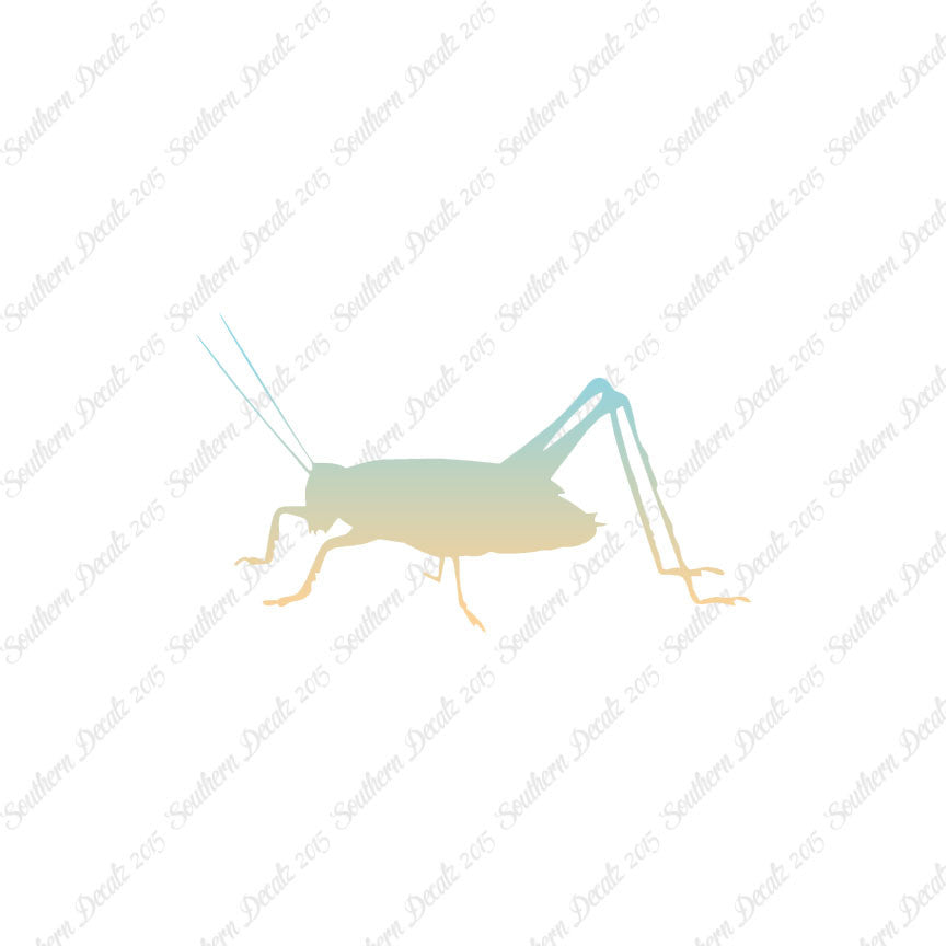 Cricket Insect