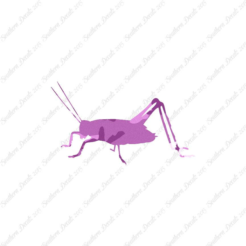 Cricket Insect