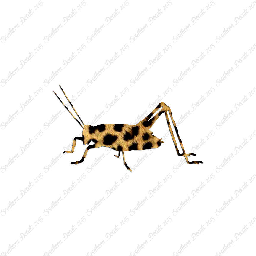 Cricket Insect