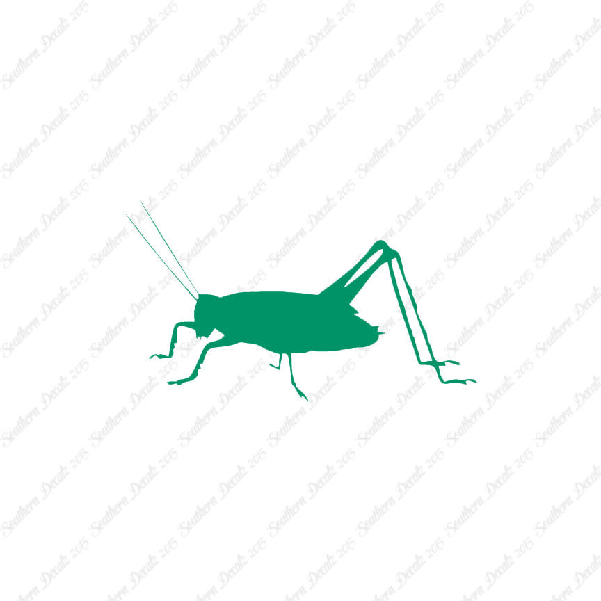 Cricket Insect