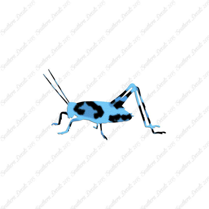 Cricket Insect