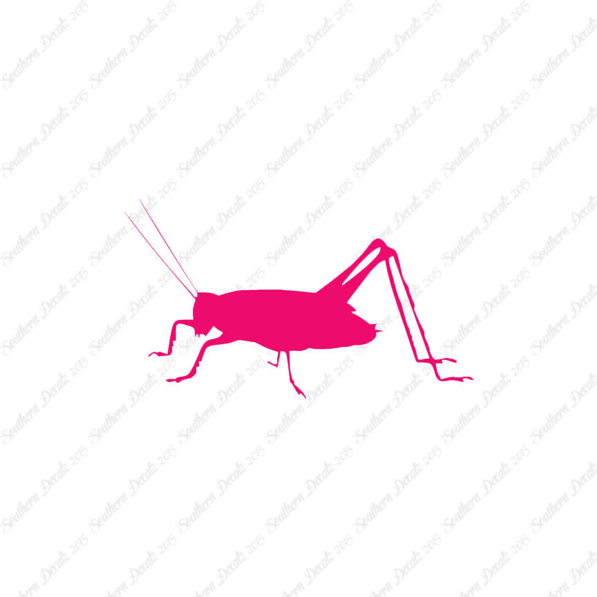 Cricket Insect