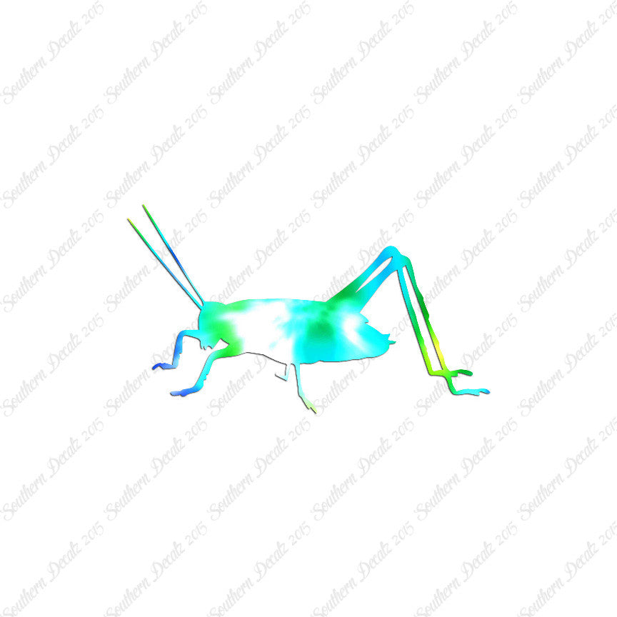 Cricket Insect