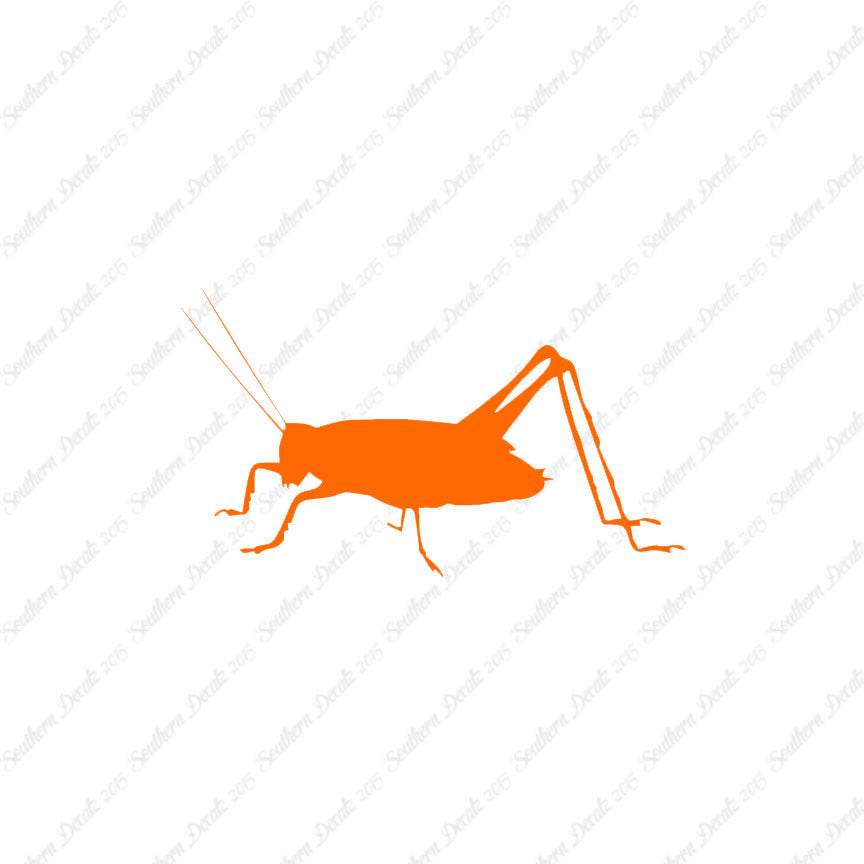 Cricket Insect