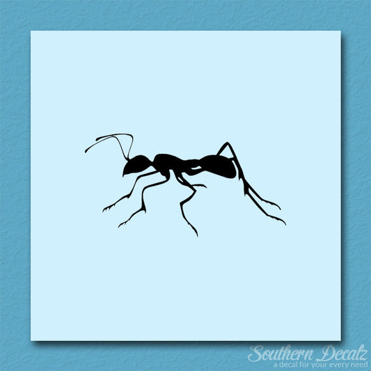 Ant Insect