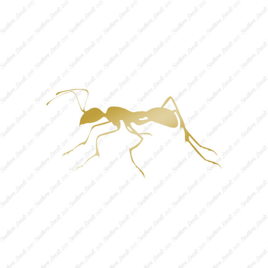Ant Insect