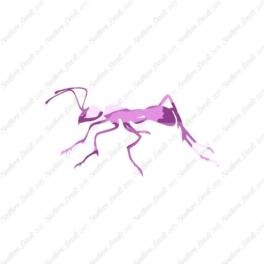 Ant Insect