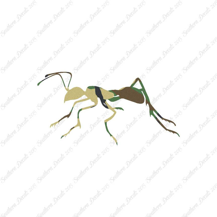Ant Insect