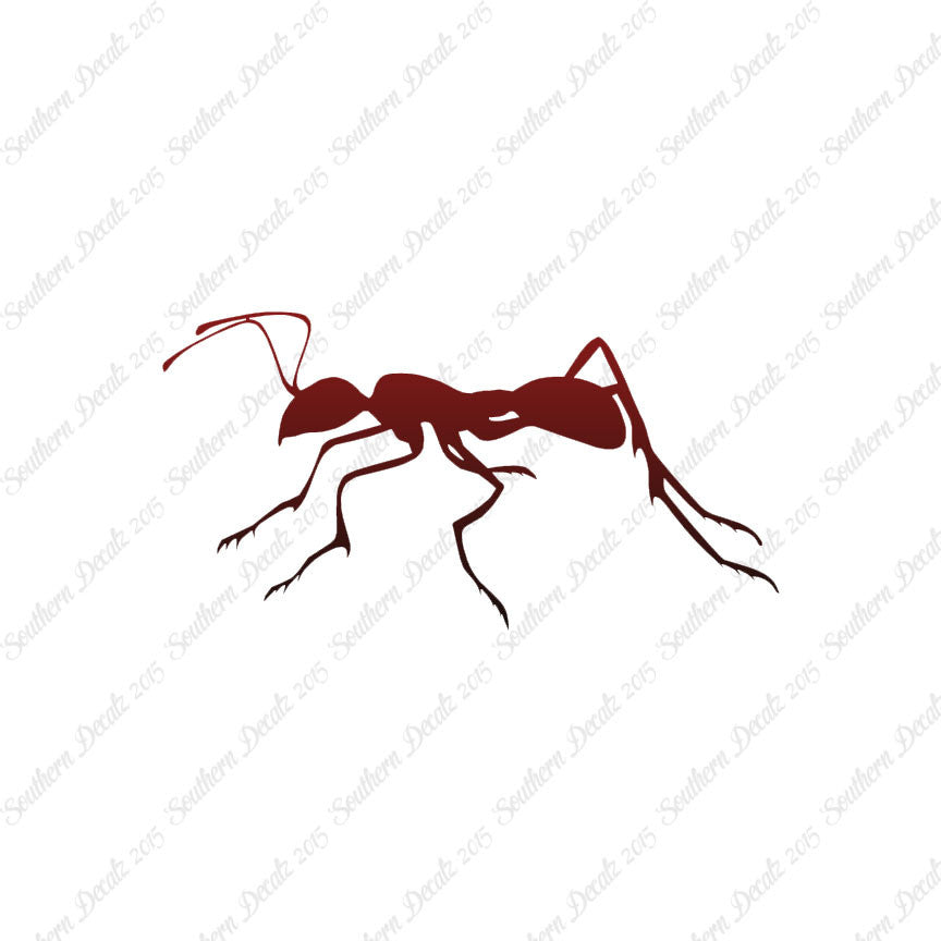 Ant Insect