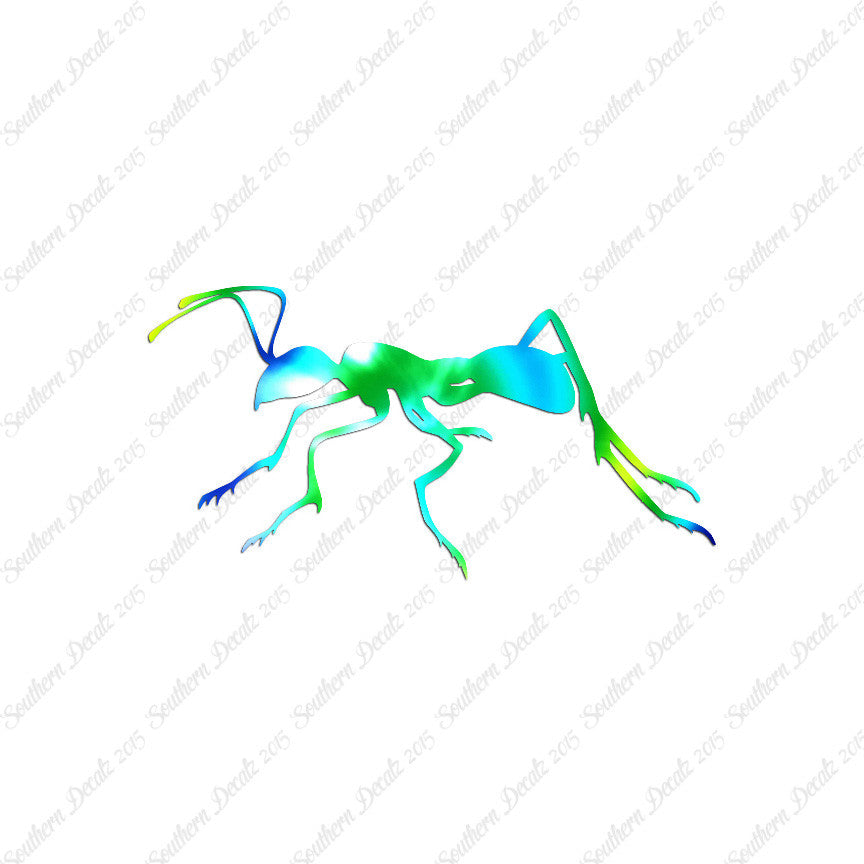 Ant Insect