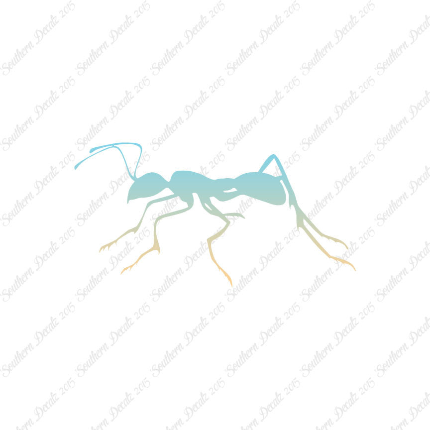 Ant Insect