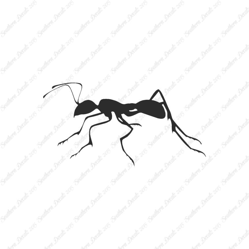 Ant Insect