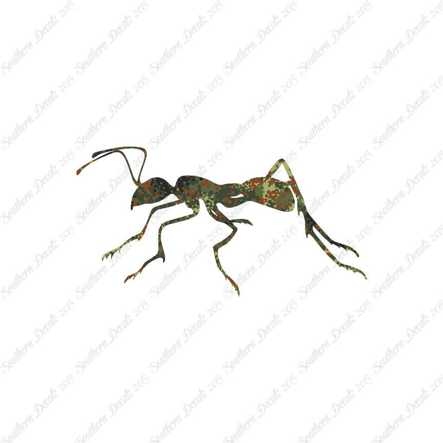 Ant Insect
