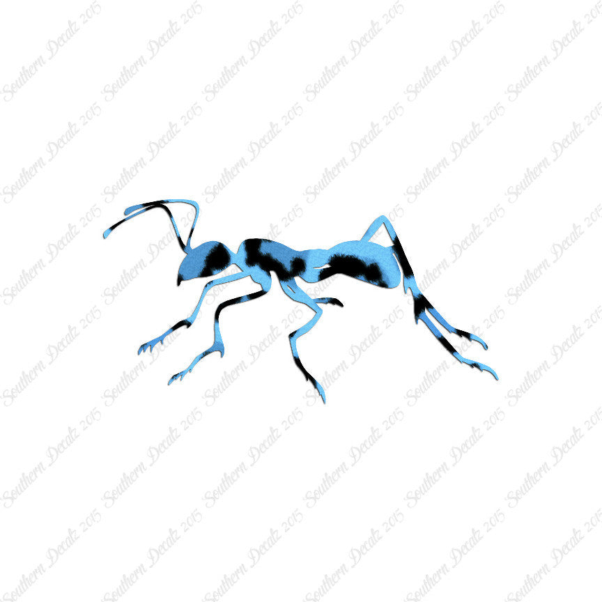 Ant Insect