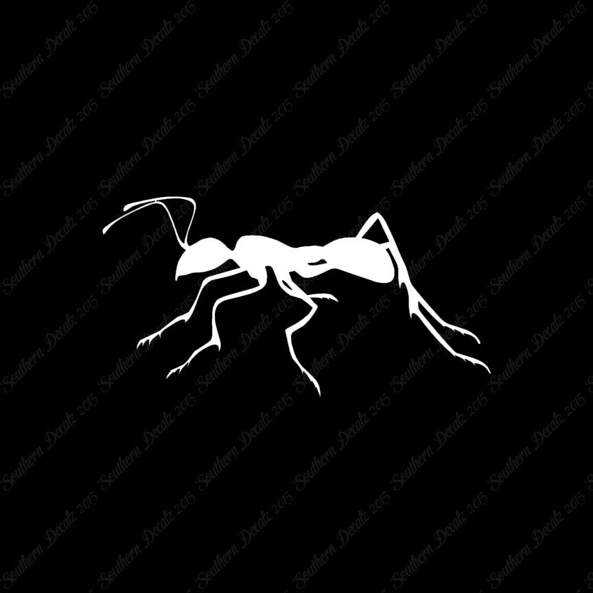 Ant Insect