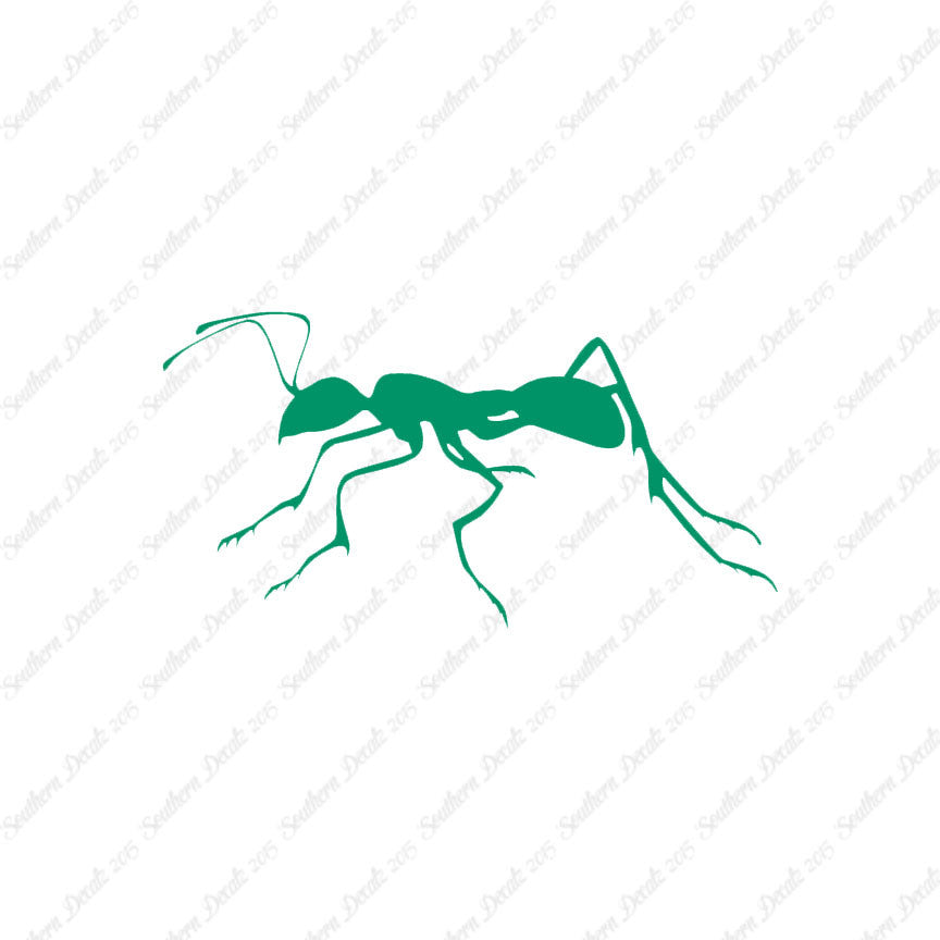 Ant Insect