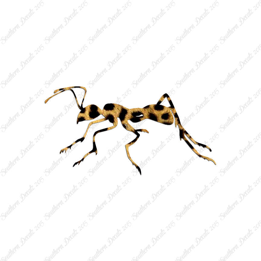 Ant Insect