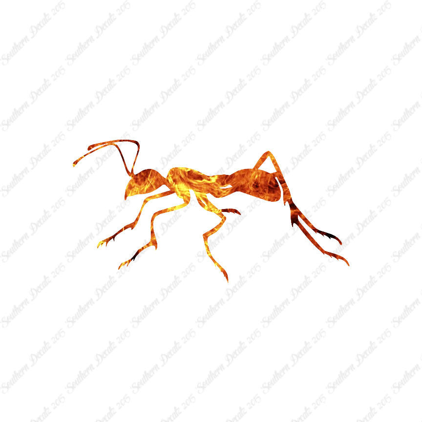 Ant Insect