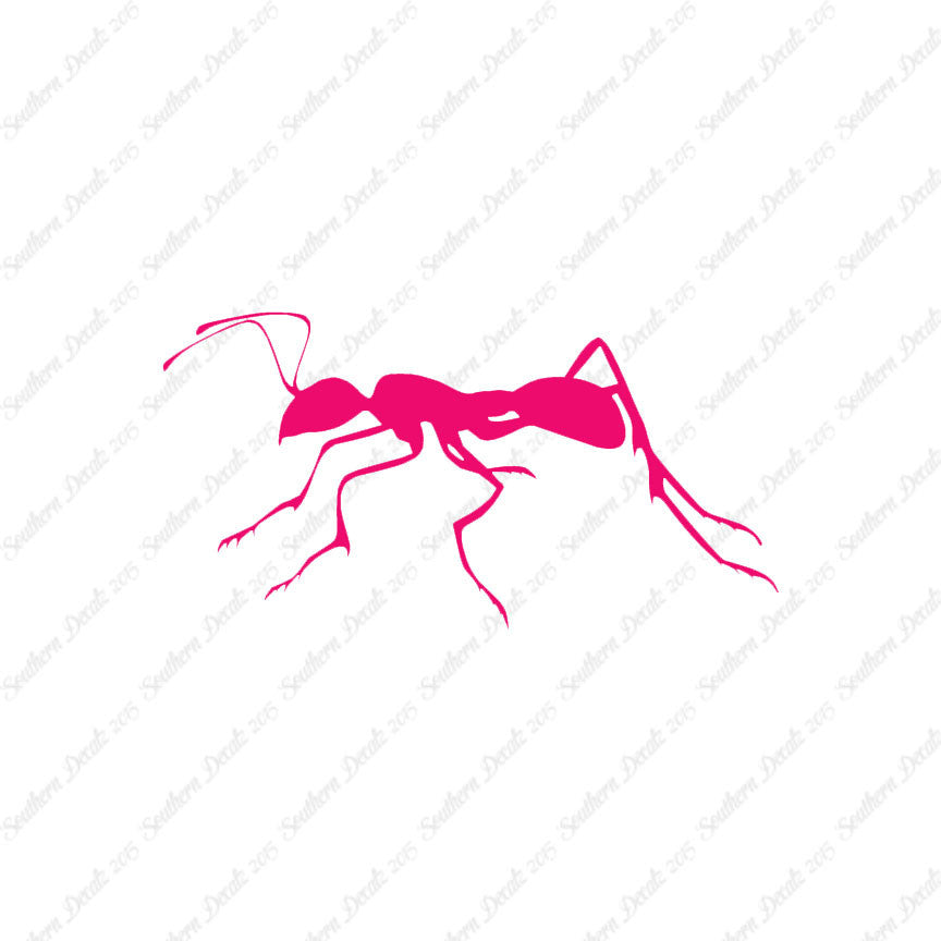 Ant Insect