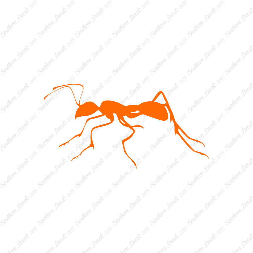 Ant Insect