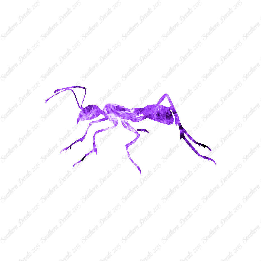 Ant Insect
