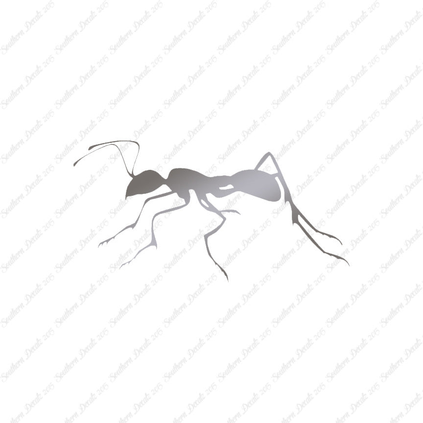 Ant Insect